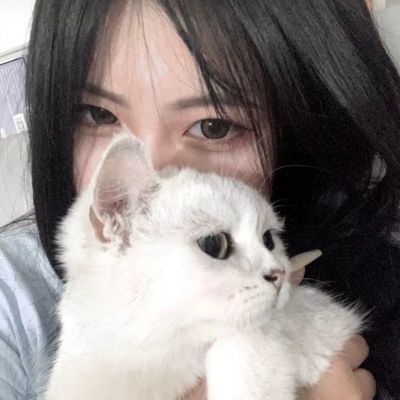 蒙牛紧急驰援定日灾区 以营养点亮希望之光