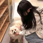 时空战场九游版下载